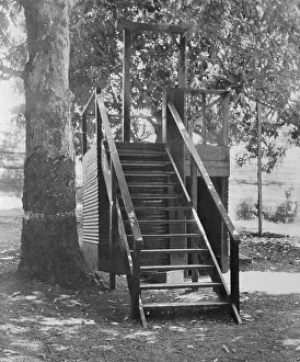 Manila Prints: Gallows Steps Underneath Tree
