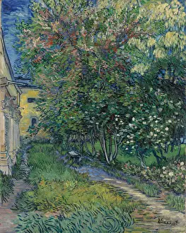 Van 1853 1890 Prints: The Garden At The Asylum At Saint-Remy