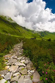 Garden in the clouds