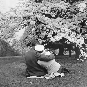 Garden Courting