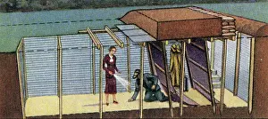 Prints of Collectible tobacco card published by British tobacco manufacturer Will's Cigarettes during World War II era as part of series titled Air Raid Precautions depicting a family in a garden dug-out or Timeless Comedy Icons: Classic Moments from the Legendary Duo: Garden Fallout Shelter, Air Raid Precautions series, collectible tobacco card, circa 1942