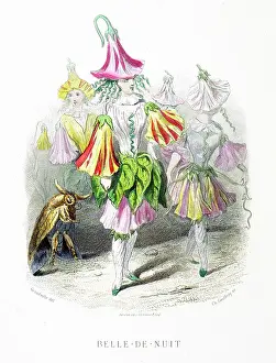Grandville Prints: Garden nightshade, evening beauty
