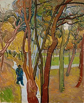 Prints of The garden of Saint Paul's Hospital (The fall of the leaves), 1889. Found in the collection of the Van Gogh Museum, Amsterdam. (Photo by Fine Art Images/Heritage Images/Getty Images) Echoes of Genius: Timeless Reproductions of a Master’s Vision: The garden of Saint Paul's Hospital (The fall of the leaves)