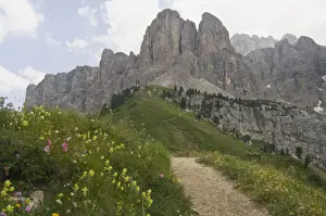 Pathway Prints: Gardena Pass, Alto Adige, Italy, Europe