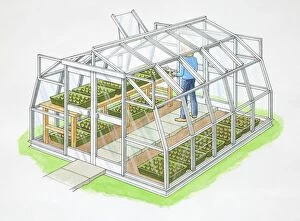 Images Dated 30th March 2006: Gardener inside vegetables greenhouse made of glass and metal frame, side view