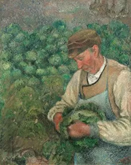 National Gallery of Art, Washington Gallery: The Gardener - Old Peasant with Cabbage