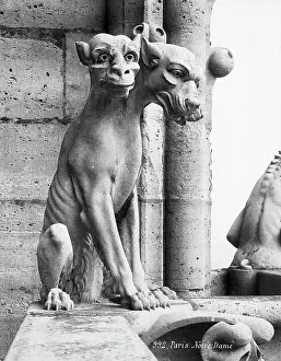Gargoyle Prints: Gargoyle Of Cerebus At Notre Dame