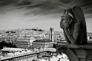 Viewpoint Gallery: Gargoyle of the Notre Dame Cathedral, Paris, France