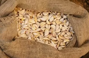 Garlic -Allium sativum- in a jute bag