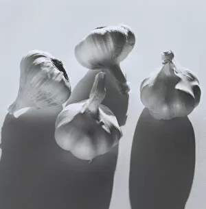 Images Dated 9th June 2004: Garlic bulbs