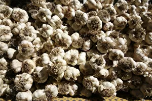 Provence Alpes Cote Dazur Gallery: Garlic bulbs at a weekly market, Provence region, France, Europe