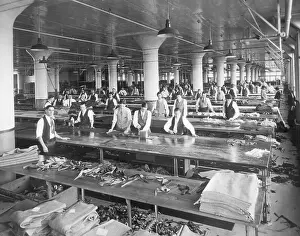 Cloth Prints: Garment Worker In Buffalo Ny