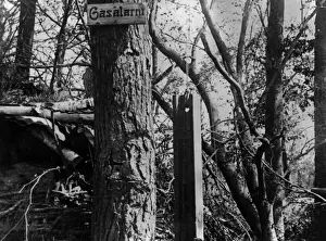 Gas Alarm