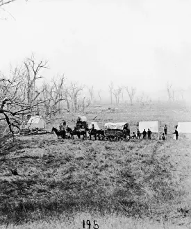 Conflict Prints: Gathering bodies at Little Big Horn site