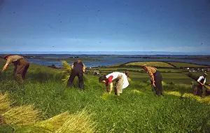 Role Prints: Gathering Flax