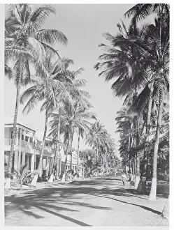 General View of the Avenue Jacques Tombeur