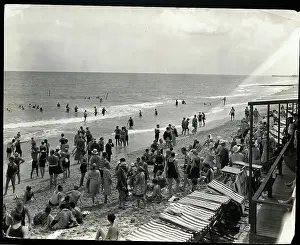 General View Of Bathers At Palm Beach