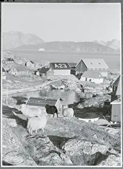 Greenland Prints: General View of a Town in Greenland