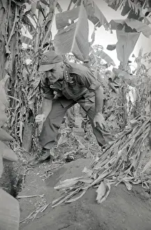 Westmoreland Prints: General William Westmoreland Bending in Field
