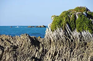 South Island Gallery: Geological rock layers on the Kaikoura Peninsula, South Island, New Zealand
