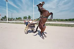 George Steinbrenner on Bucking Horse