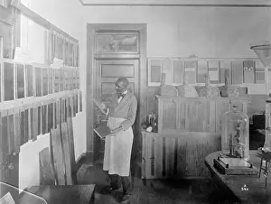 Professor Prints: George Washington Carver Conducts Experiments