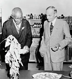 Dearborn Prints: George Washington Carver and Henry Ford