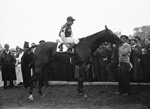 Jockey Prints: George Woolf on Pompoon