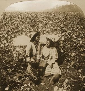 Michael Ochs Archive Gallery: Georgia Cotton Plantation