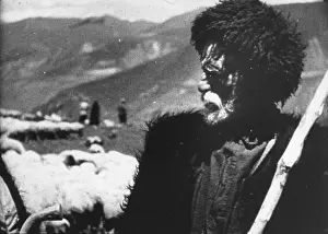 Georgian Prints: Georgian Shepherd