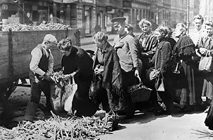 German Citizens During Post Word War One in Quest for Food