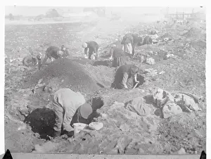 Suffering Prints: German People Stooping and Excavating Dirt for Valuable Goods