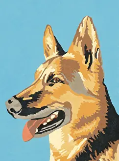 Panting Prints: German Shepherd