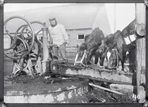 German Soldier Getting Water for Horses