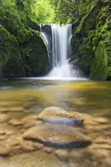 Flows Prints: Geroldsau waterfall, Black Forest mountain range, Baden-Wuerttemberg, Germany, Europe