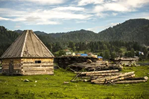 Images Dated 23rd July 2013: Gers in teletskoye lake, altai