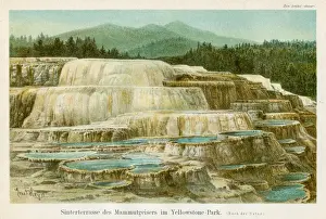 Geyser Prints: Geyser in Yellowstone lithograph 1895