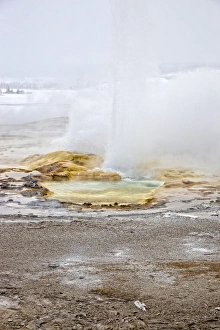 Montana Collection: Geyser, Yellowstone National Park