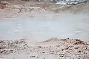 Thermophile Prints: Geyser, Yellowstone National Park