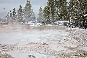 Thermophile Prints: Geyser, Yellowstone National Park