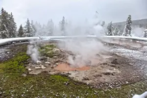 Thermophile Prints: Geyser, Yellowstone National Park