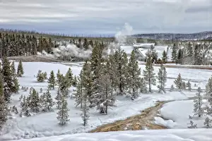 Thermophile Prints: Geyser, Yellowstone National Park