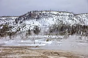 Geyser, Yellowstone National Park