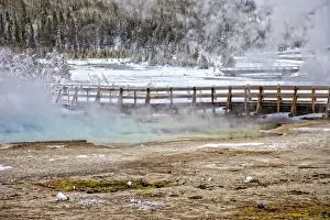 Thermophile Prints: Geyser, Yellowstone National Park