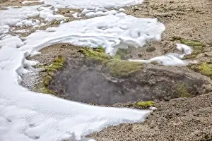 Thermophile Prints: Geyser, Yellowstone National Park