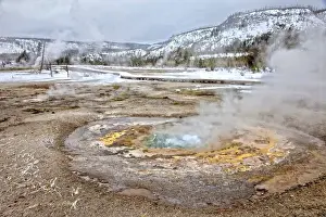 Thermophile Prints: Geyser, Yellowstone National Park