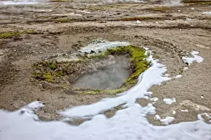 Thermophile Prints: Geyser, Yellowstone National Park