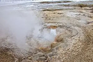 Thermophile Prints: Geyser, Yellowstone National Park