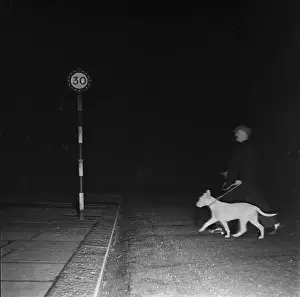 Lighting Effect Prints: Ghost Dog