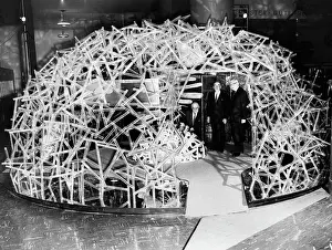 Huge Prints: Giant Blood Cell Model Exhibit